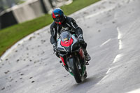 PJ-Motorsport-Photography-2020;anglesey;brands-hatch;cadwell-park;croft;donington-park;enduro-digital-images;event-digital-images;eventdigitalimages;mallory;no-limits;oulton-park;peter-wileman-photography;racing-digital-images;silverstone;snetterton;trackday-digital-images;trackday-photos;vmcc-banbury-run;welsh-2-day-enduro